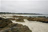 Asilomar State Beach, Pacific Grove