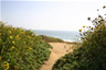 Torrey Pines State Beach